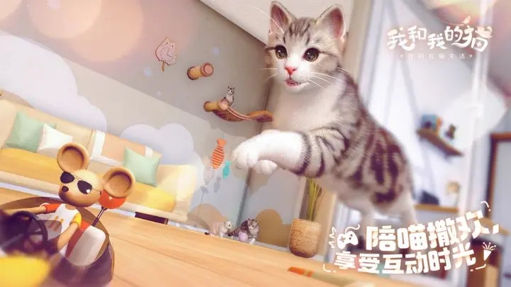 我和我的猫app游戏
