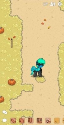 ponytownapp游戏