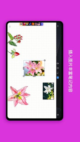 千本笔记免费版APP