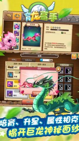 育龙高手app游戏