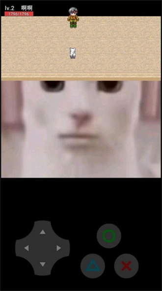 猫猫惊魂游戏游戏