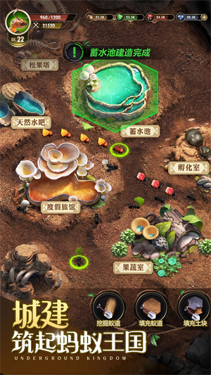 小小蚁国app游戏
