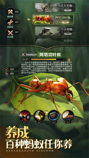 小小蚁国app游戏