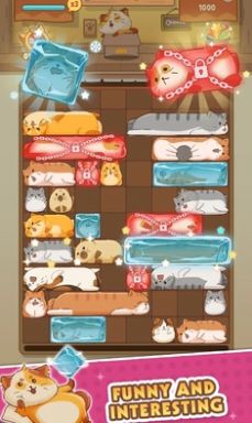 猫猫安全滑动拼图手机版游戏