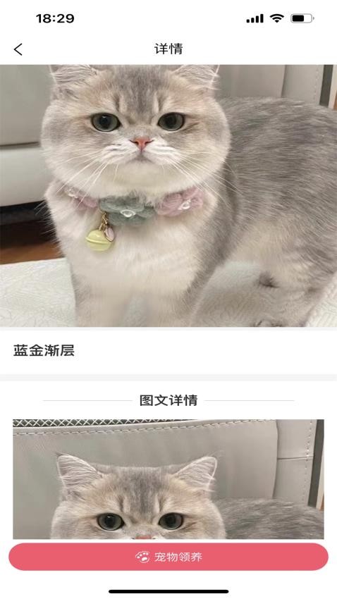 宠哩吖商城APP