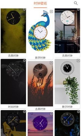 飞鲨壁纸软件APP