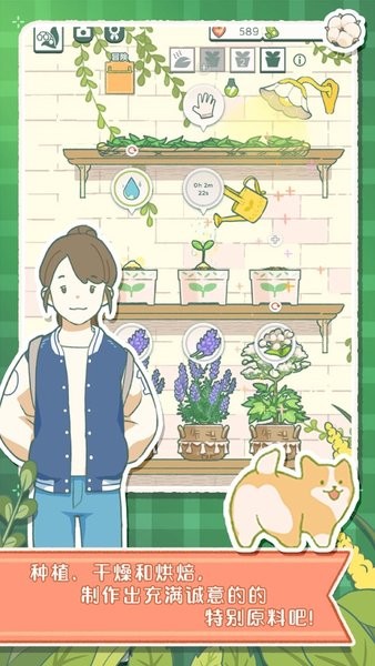 寄心茶屋正版游戏