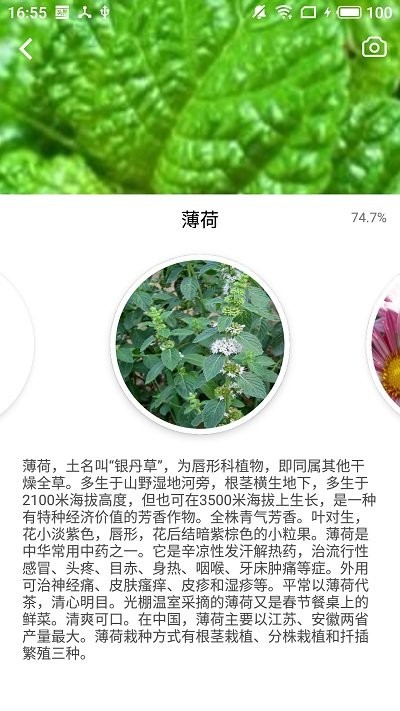 森林百科APP