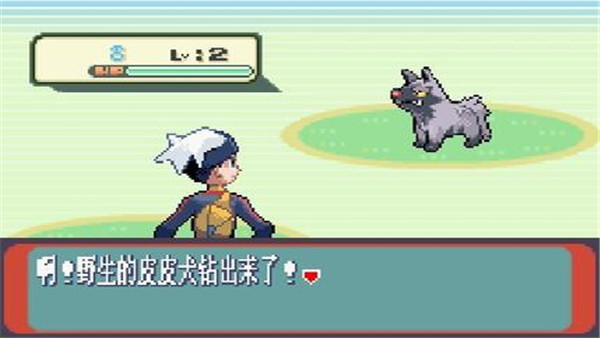 口袋妖怪红宝石386游戏