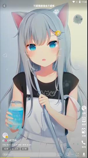 熊猫动态壁纸appAPP
