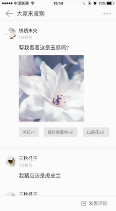 花伴侣植物识别APP
