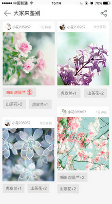 花伴侣植物识别APP