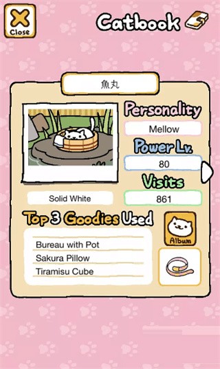 猫咪后院游戏