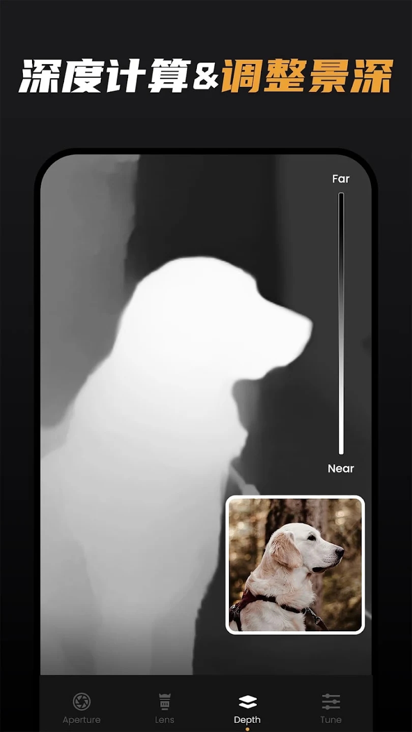 relens官网版APP
