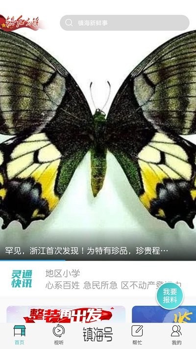 镇灵通APP