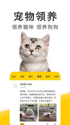 有只宠物appAPP