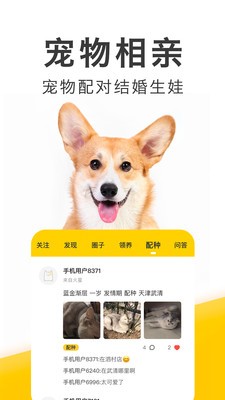 有只宠物appAPP