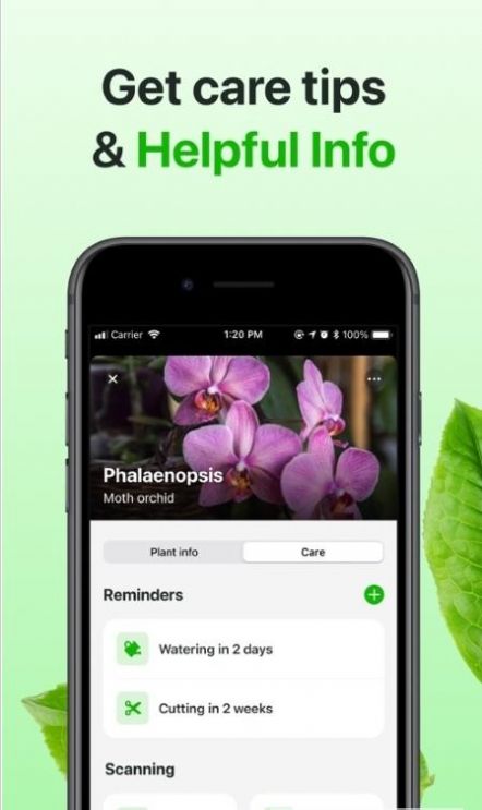 FloraeAPP