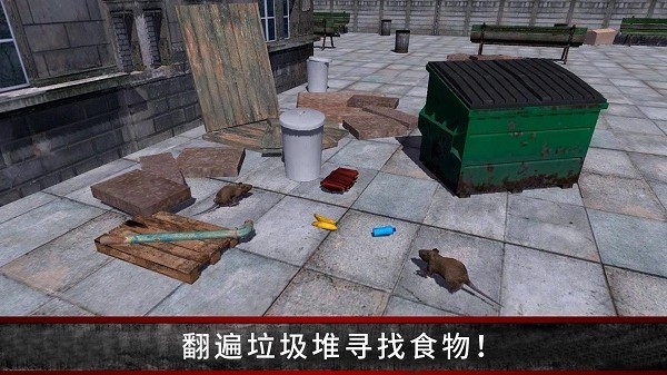荒野流浪记游戏