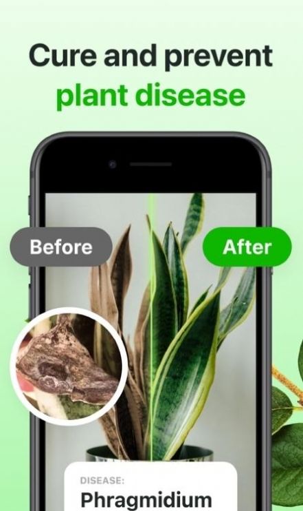 FloraeAPP