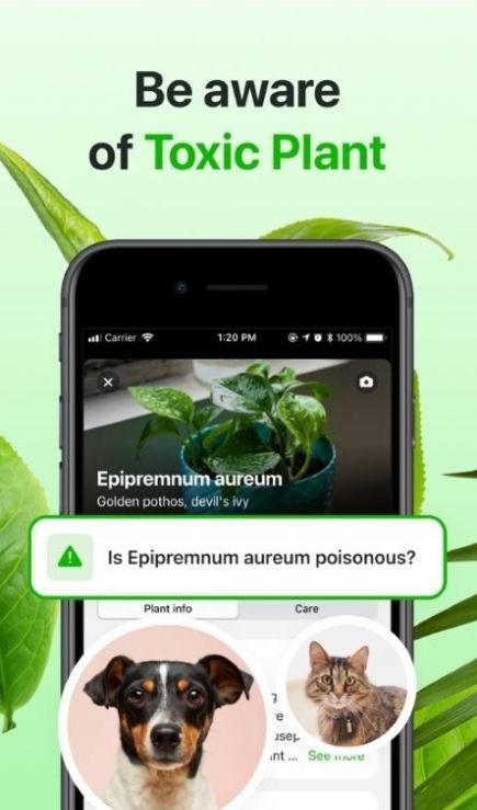 FloraeAPP