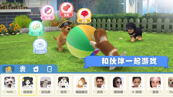 梦幻小狗游戏游戏