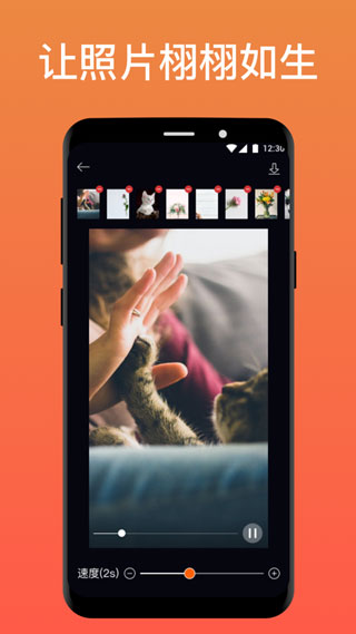 pixaloop软件免费版APP