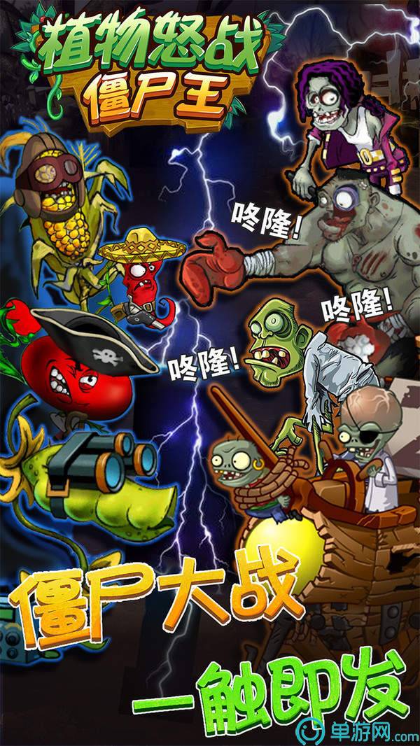 植物怒战僵尸王游戏