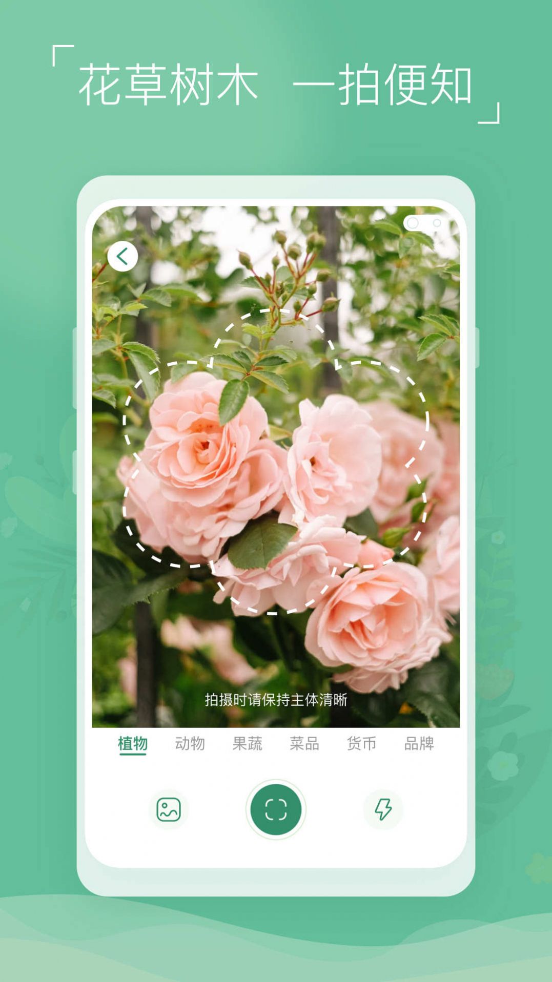 植物识别宝APP