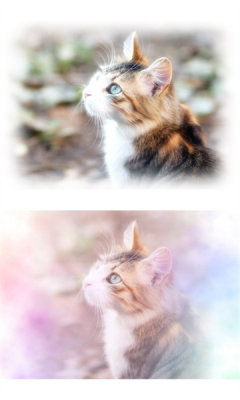 wataamecamera手机版APP