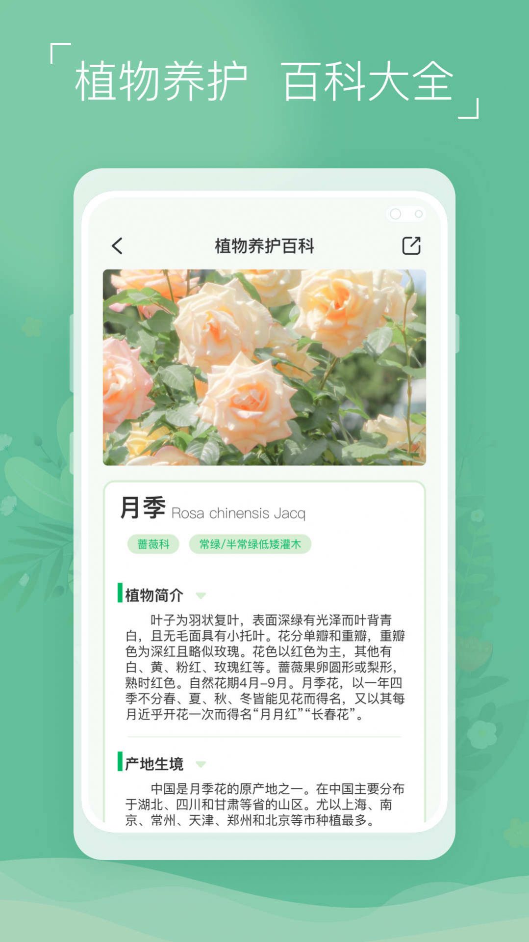 植物识别宝APP