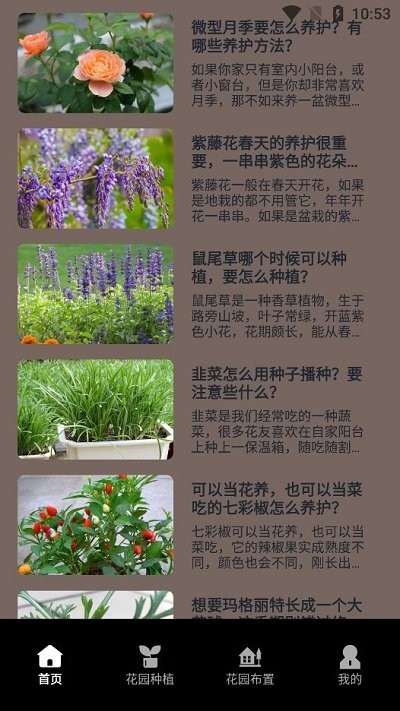 花草录植物识别手机APP