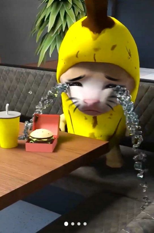 香蕉猫大作战游戏游戏