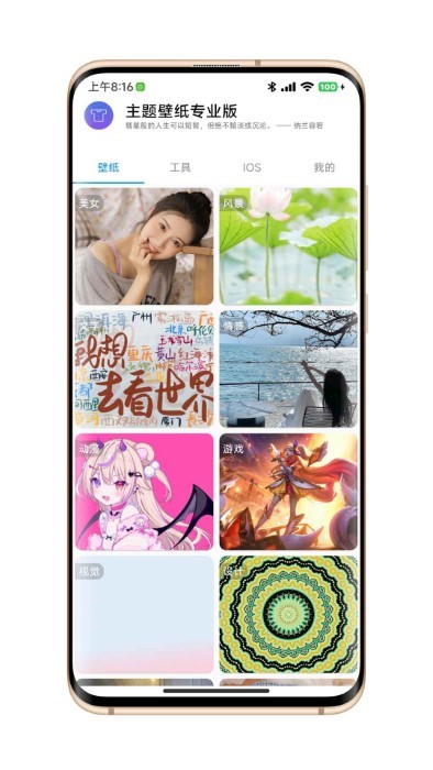 主题壁纸专业版app手机版APP