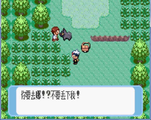 口袋妖怪蓝宝石金手指版免费软件游戏