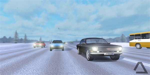 俄罗斯公路赛车手游戏