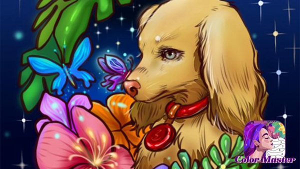 色彩数字大师app免费游戏