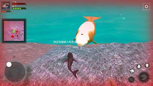 鲨鱼求生免费版游戏