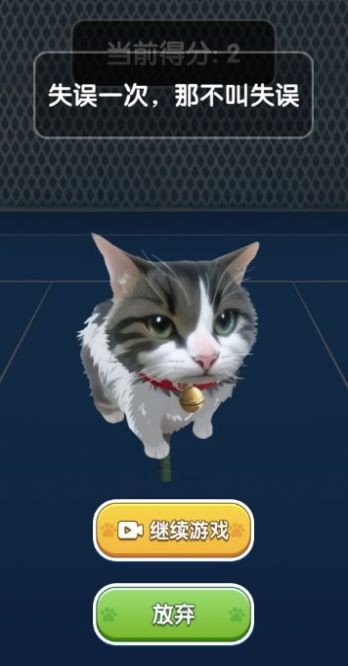 猫咪网球app游戏