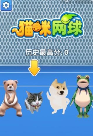 猫咪网球app游戏