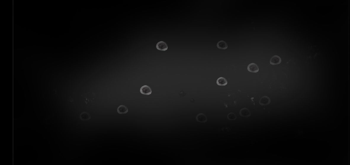 釜中游鱼手机版app游戏