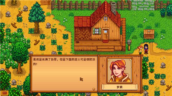 星露谷物语联机版游戏