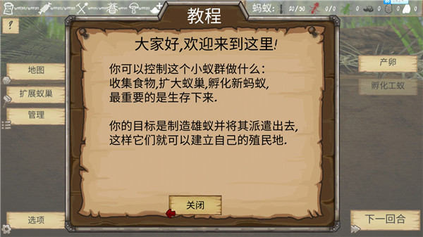 最后的蚂蚁官方版游戏