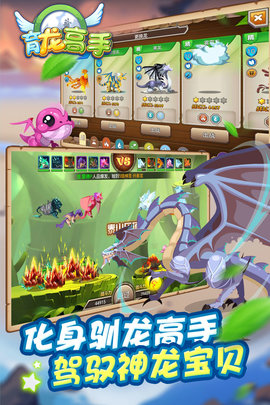 育龙高手免费正版游戏