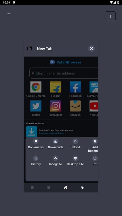 safari浏览器版APP