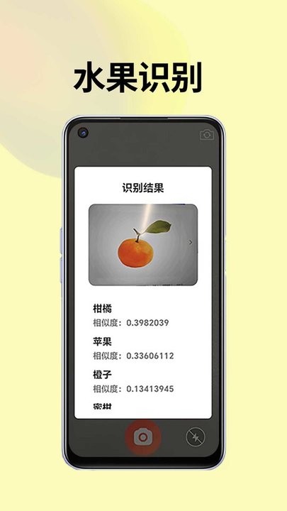 皮皮袋工具箱APP