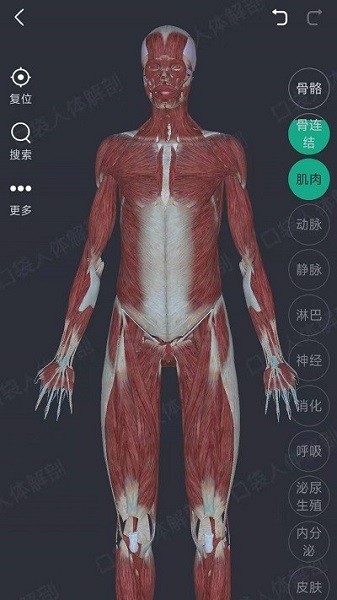 万康人体解剖官方版免费APP
