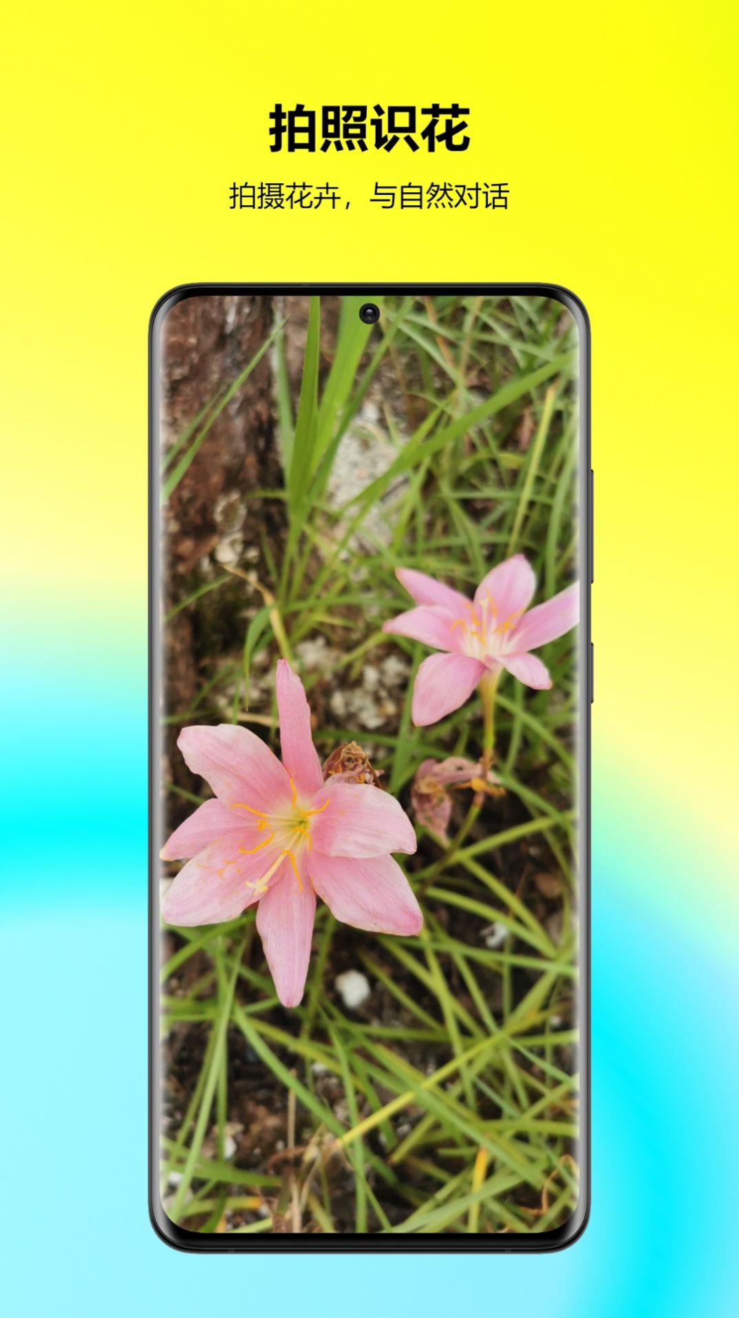 万能拍照识花官方版APP