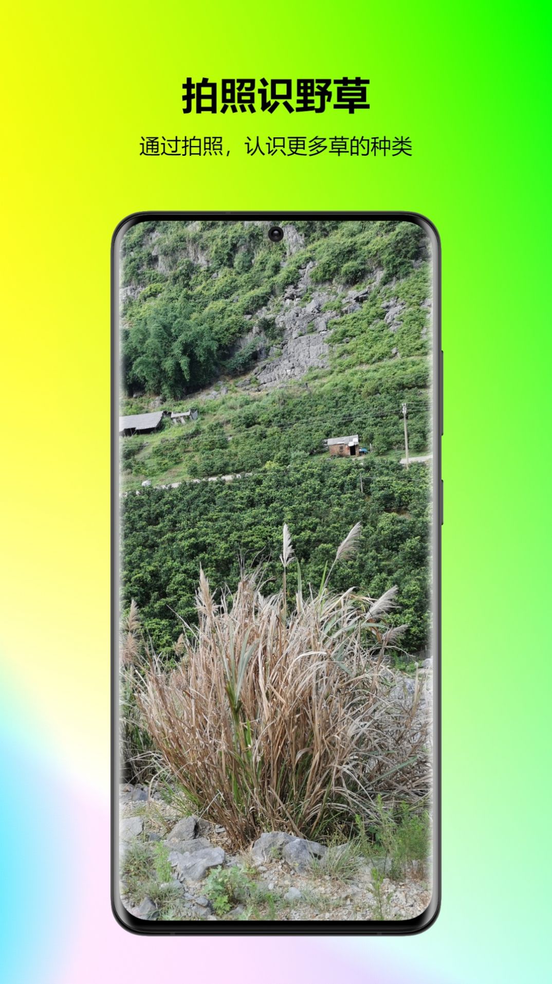 万能拍照识花官方版APP