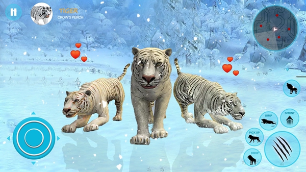 野生白虎家庭模拟(wildtigersimulatorfamilysim)游戏